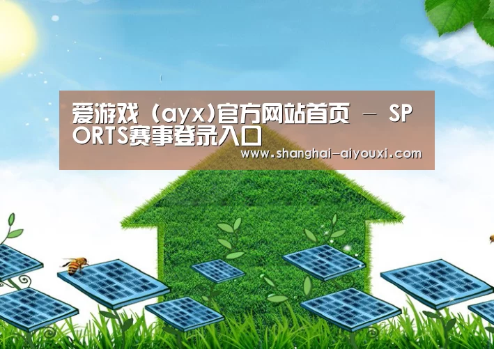 爱游戏公司