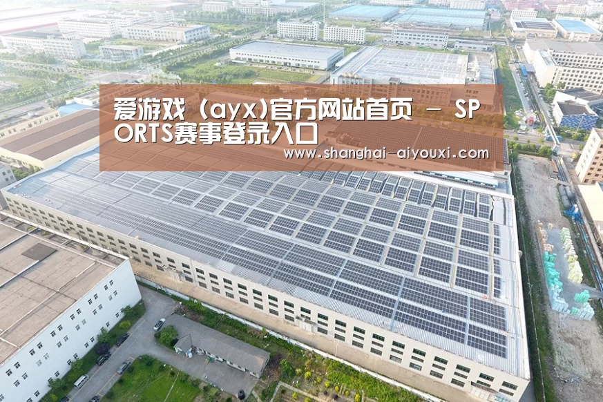 案例展示二