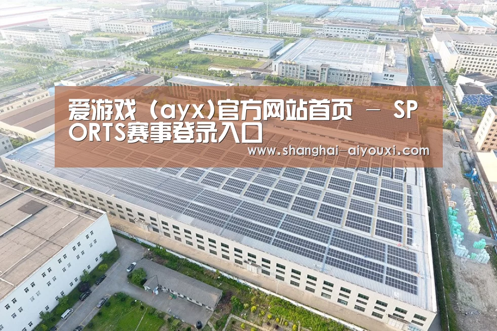 案例展示一
