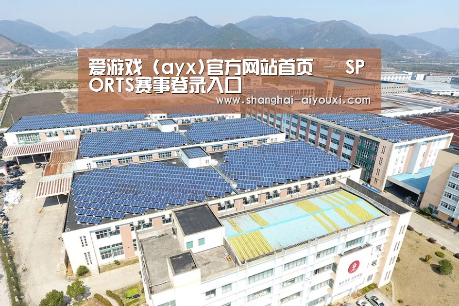案例展示三
